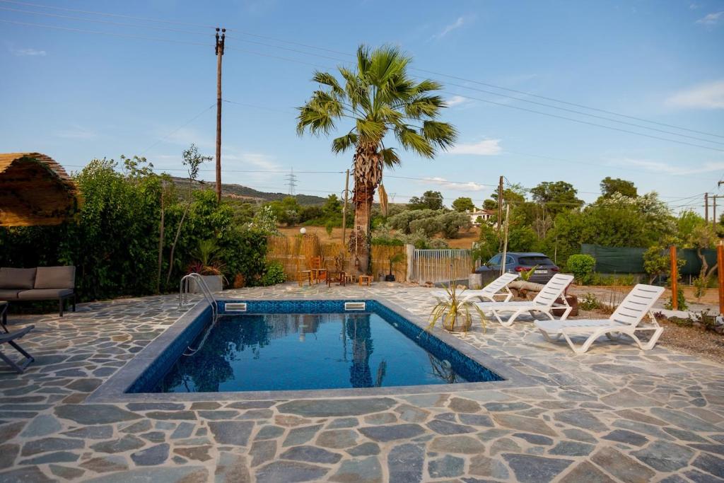 a swimming pool with two chairs and a palm tree at Linovrochi holiday house with private pool in Lefkandi Chalkidas