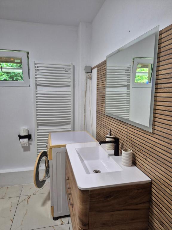 a bathroom with a sink and a mirror at Casa Ada in Arpaşu de Sus