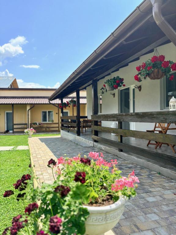 a patio with flowers in a pot in front of a building at Casa Magda - Oaza de Relaxare in Călimăneşti
