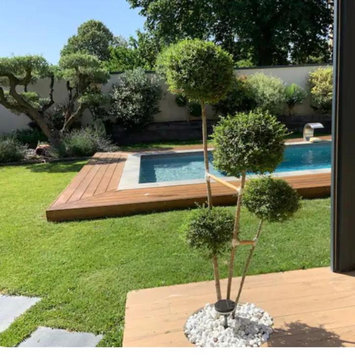 a potted tree in a vase next to a pool at Un bon cocon privé climatisé chez l habitant in Valence