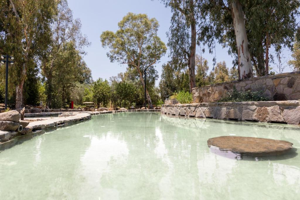 a pool of green water with trees in the background at Katzrin Village Glamping in Qasrîne