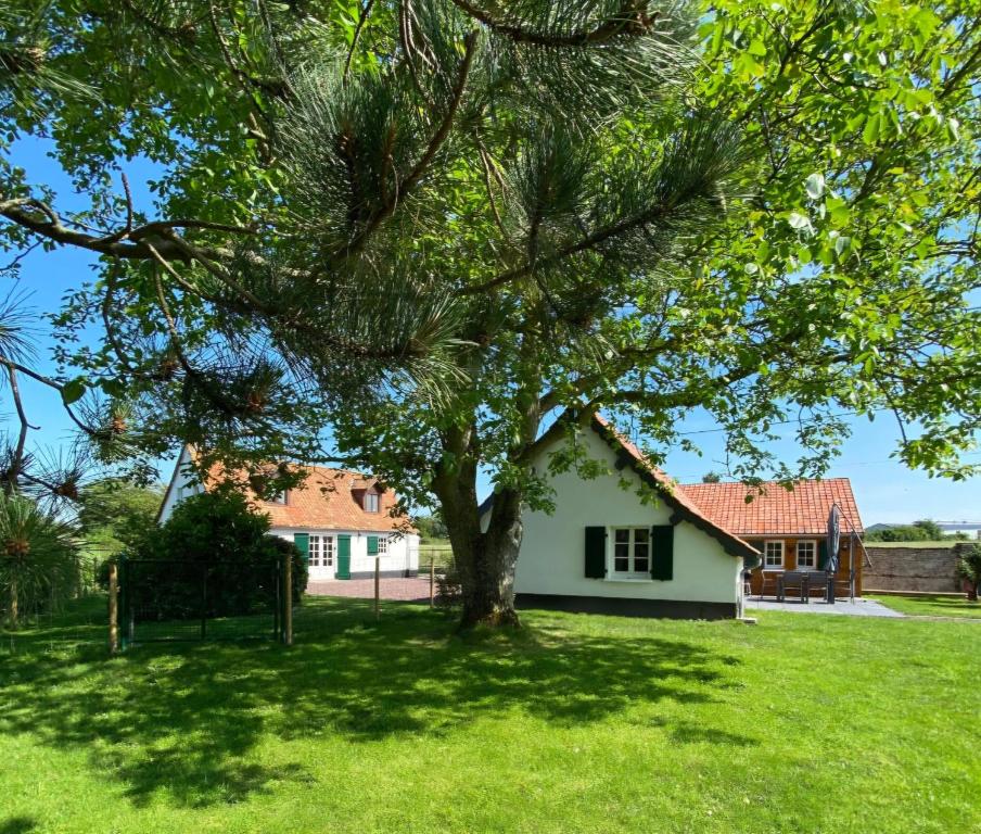 a white house with a tree in the yard at Cottage de la Maye in Rue