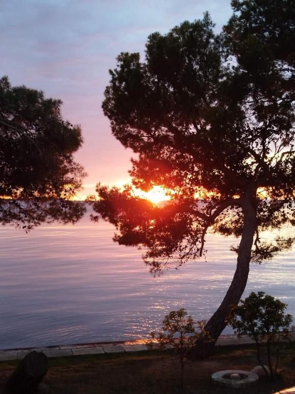 a sunset over the water with a tree at Marko in Fažana