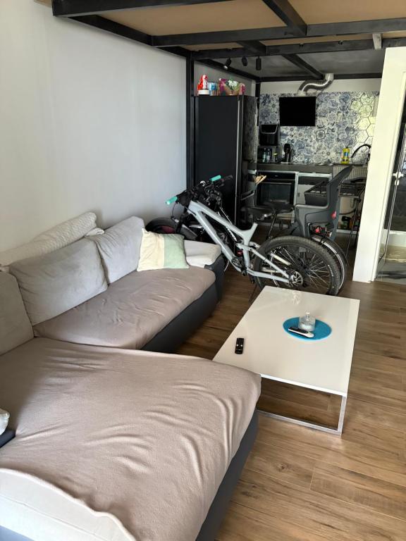 Apartment Bače