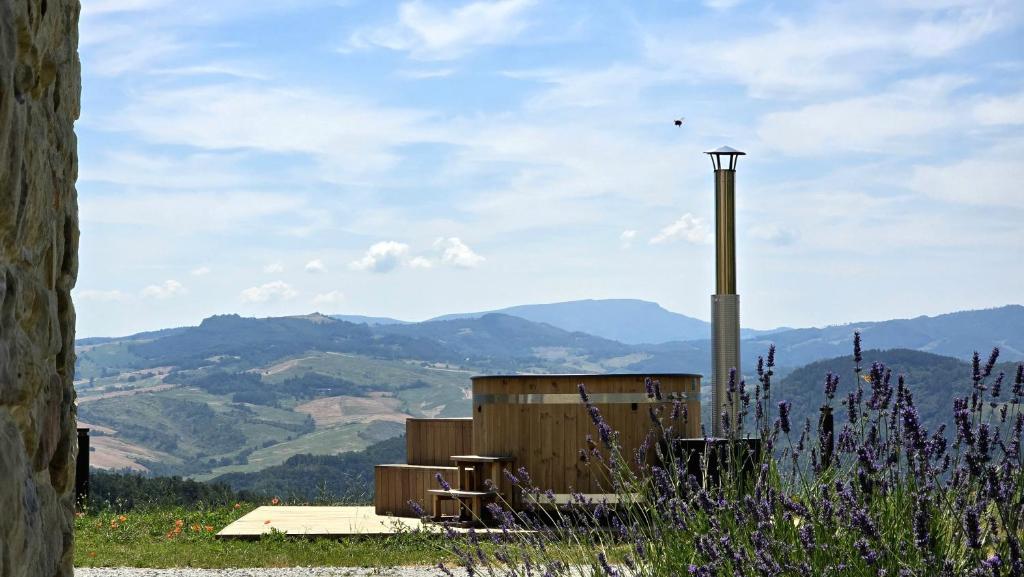 a view of a mountain with a bird flying in the sky at Ca del Papa - Country House panoramica nel Parco delle Foreste Casentinesi in Santa Sofia