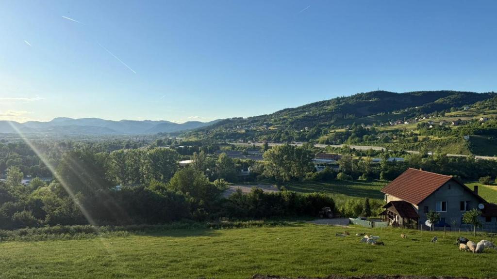 a group of animals in a field with a house at View Retreat in Visoko