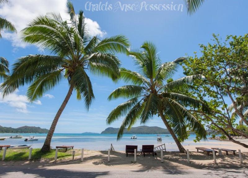 two palm trees and benches on a beach with the ocean at Chalets Anse Possession in Baie Sainte Anne