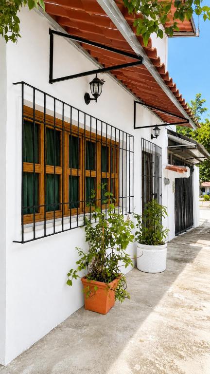a white building with two potted plants and windows at Casa Bugambilias in Tenosique de Pino Suárez