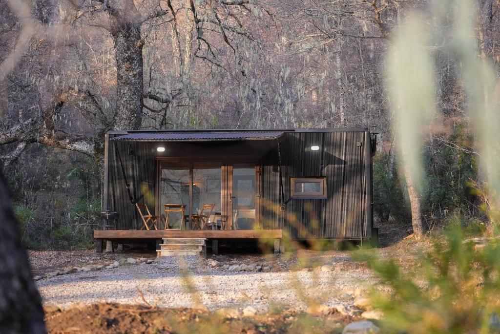 a black tiny house in the woods at Tagua Cabins Malalcahuello in Malalcahuello