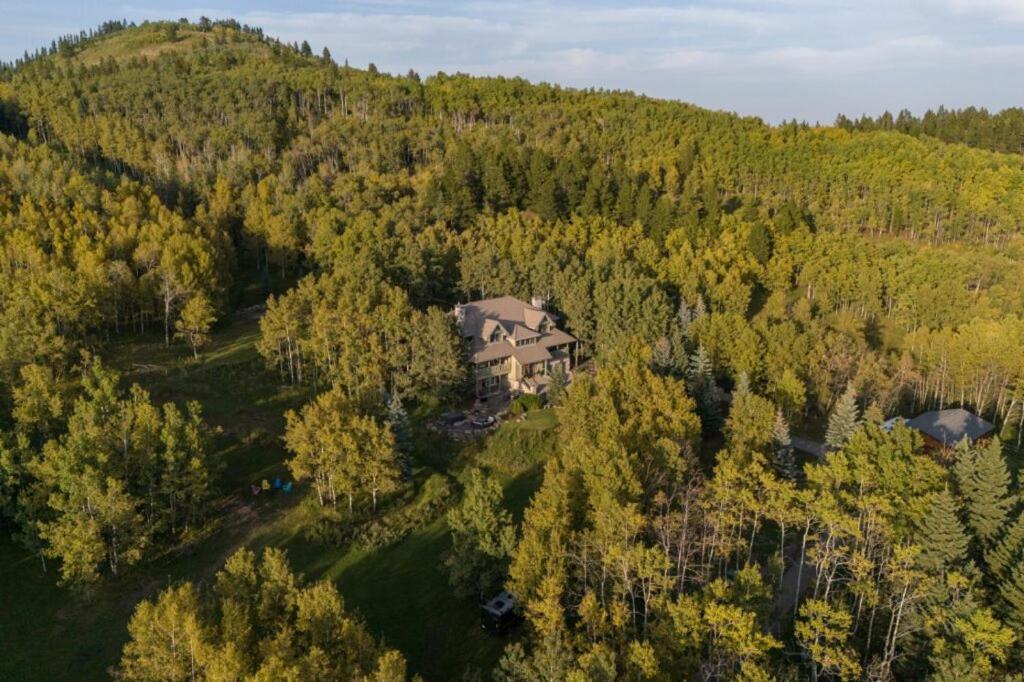 an aerial view of a house in the middle of a forest at The Wandering Antler - Bragg Creek in Bragg Creek