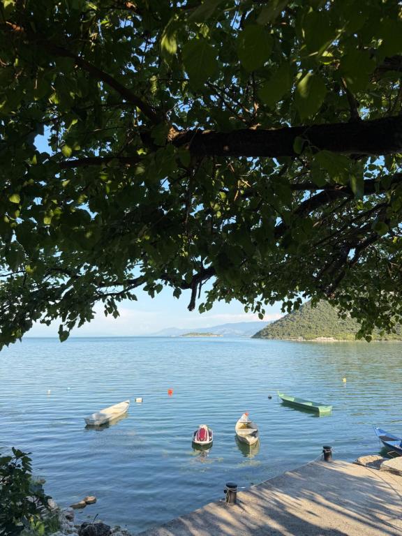 a view of a lake with boats in the water at The Lakehouse in Krnjice