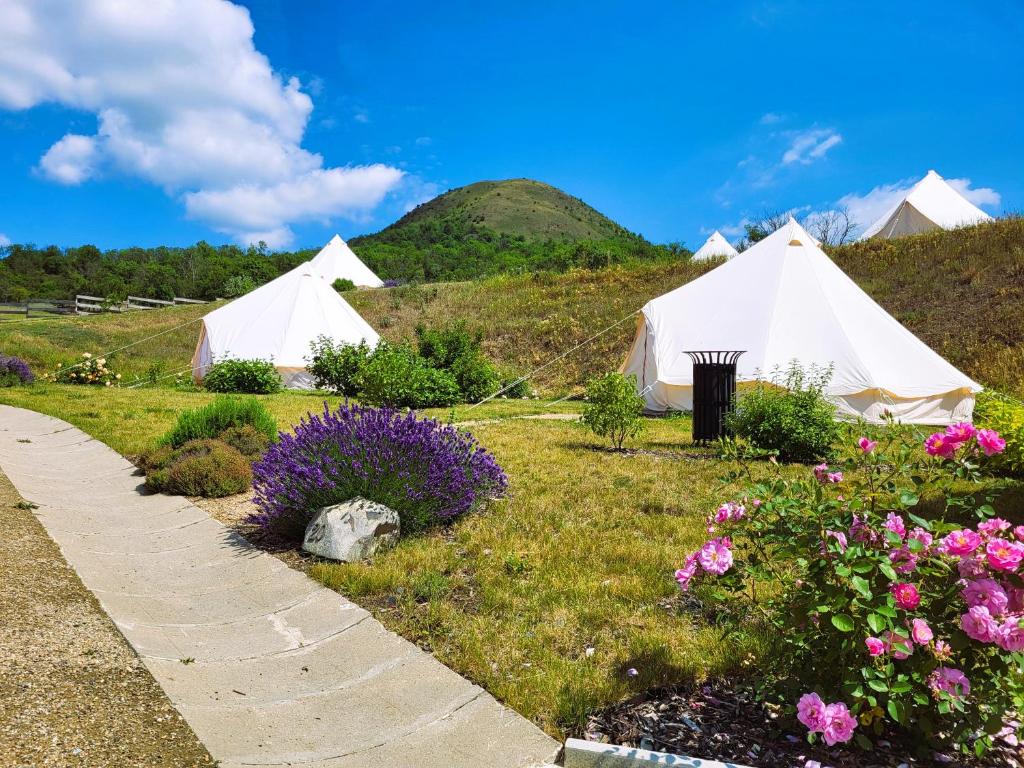 a group of tents in a field with flowers at Resort Oblík - Luxusní stanové městečko in Raná