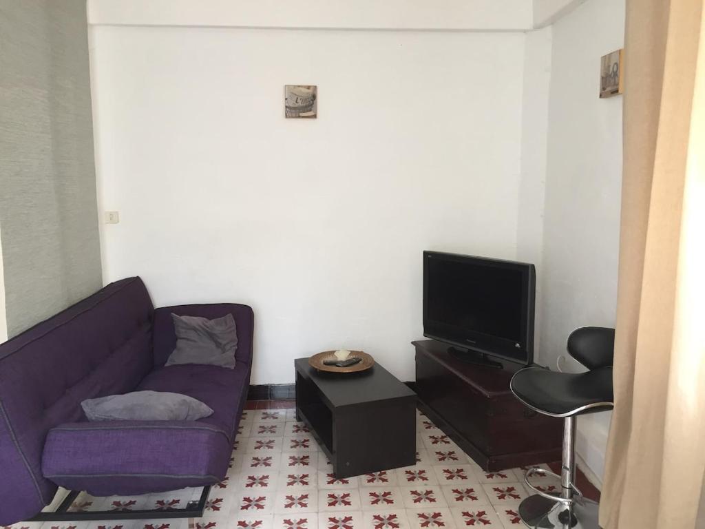 apartement avec jardin ombragé sur avignon