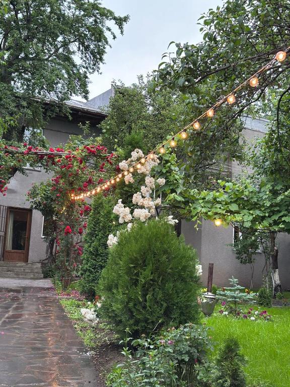 a garden with a string of lights and flowers at Narek B&B in Goris