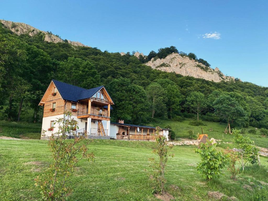a house in a field in front of a mountain at Căsuța Anei in Rîmeţi-Valea Inzelului