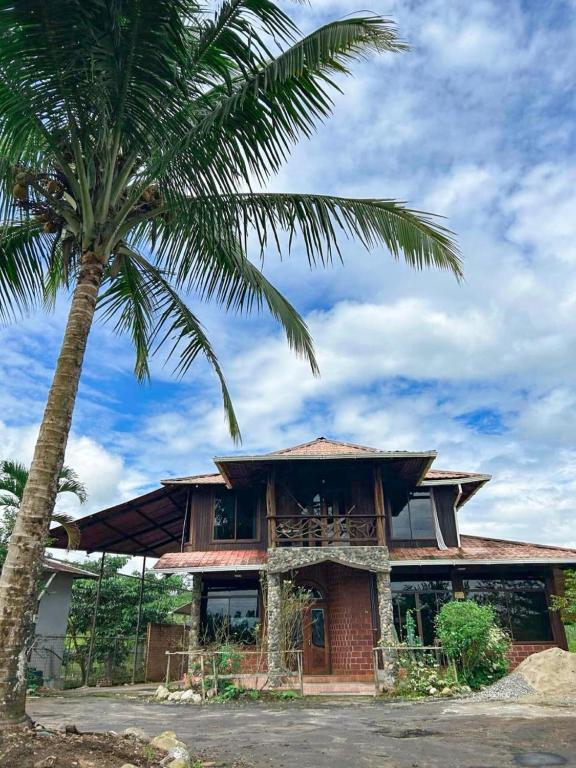 a house with a palm tree in front of it at Casa vacacional Tena Archidona in Tena