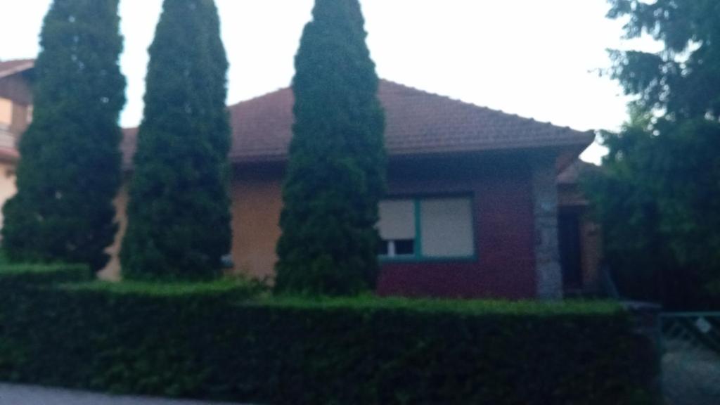 a house with four trees in front of it at Marinel in Vršac