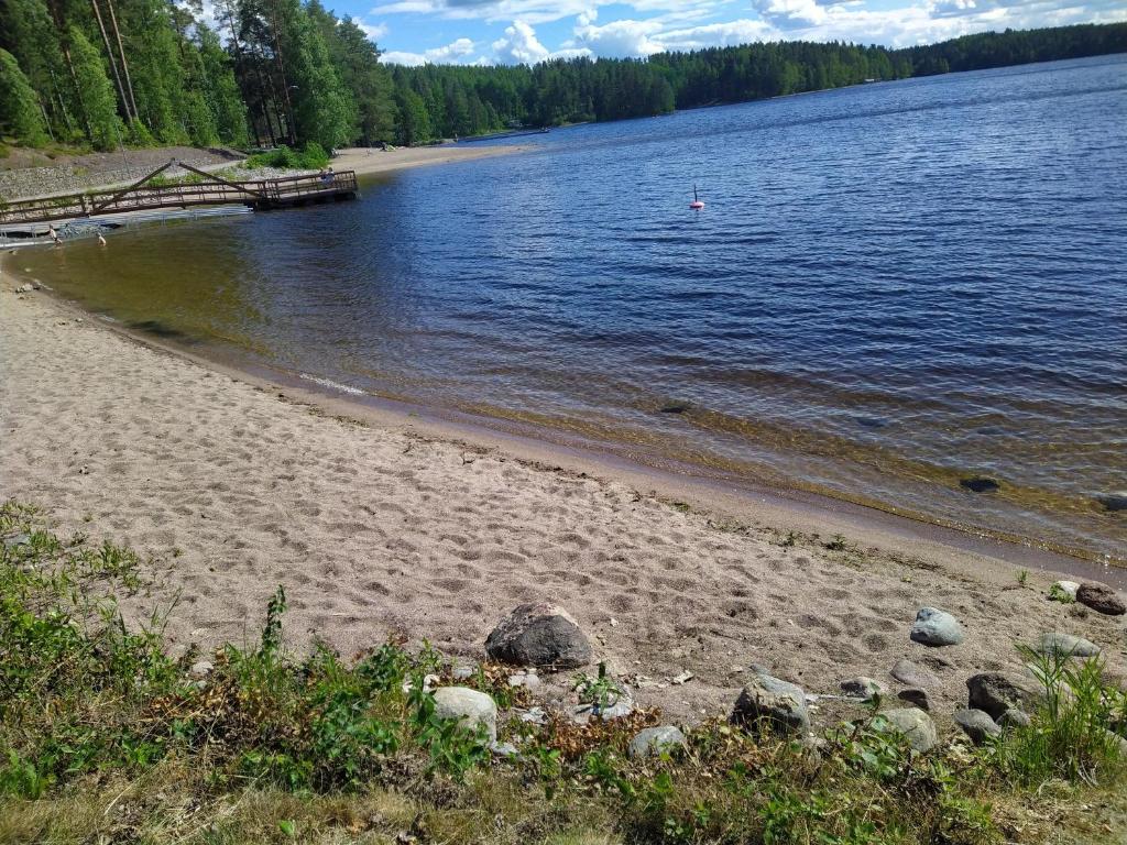 a beach with rocks and water and a dock at Saimaan Rantavilla Zebra in Imatra