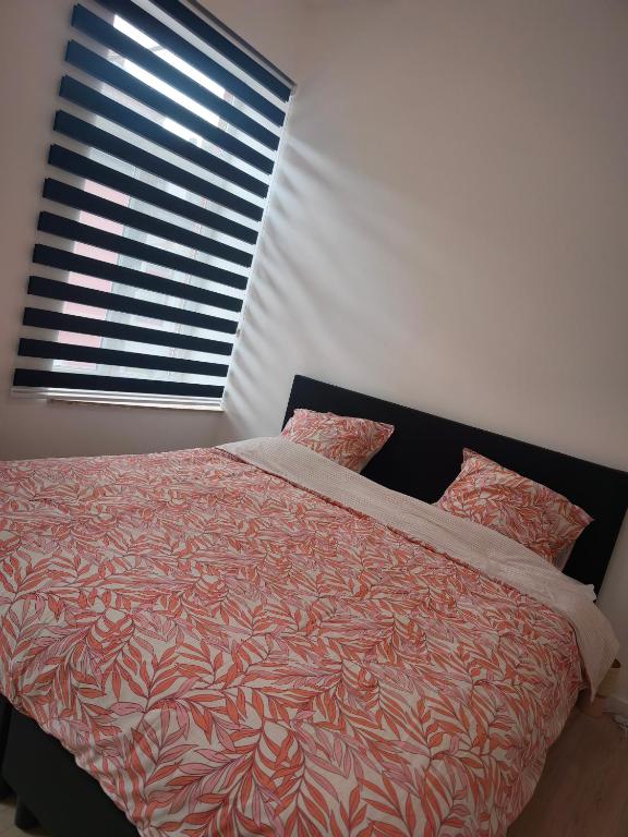 a bedroom with a bed with a large window at Sisters home in Marcinelle