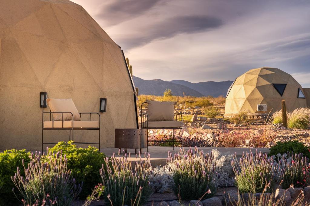 two domes and chairs in a garden with flowers at Glamping Astrapia - Cafayate in Cafayate