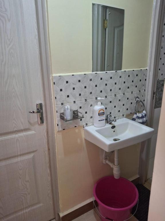 a bathroom with a sink and a mirror at Liaden 2 Bedroom Apartment in Nairobi