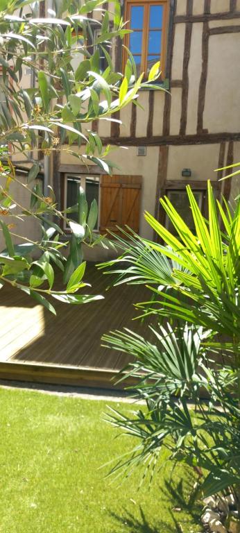 a garden with green plants in front of a house at Cas'ArtiGè in Troyes