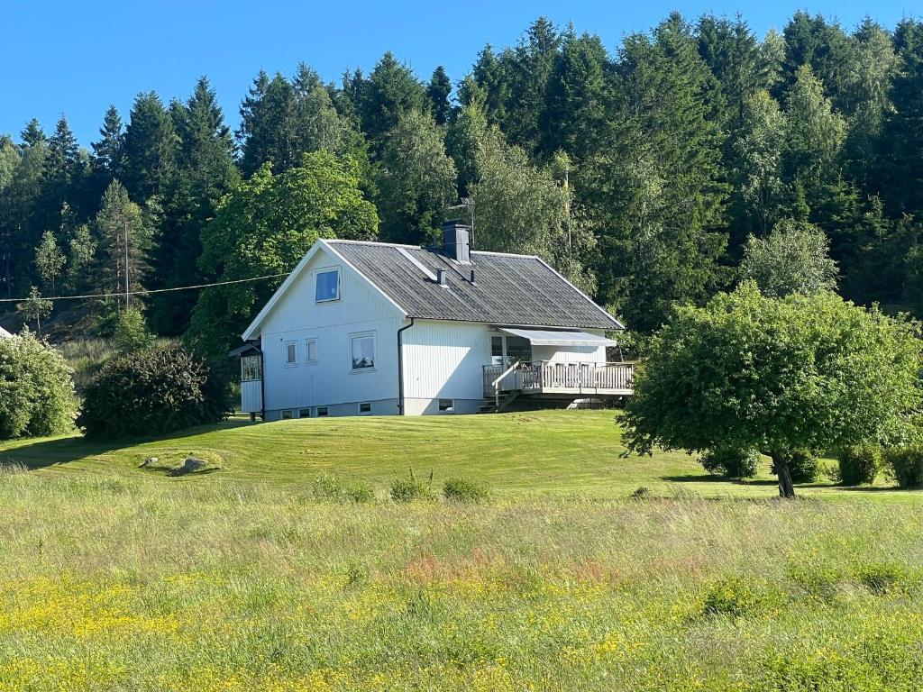 ein weißes Haus mitten auf einem Feld in der Unterkunft Svarteborg Dingle in Dingle