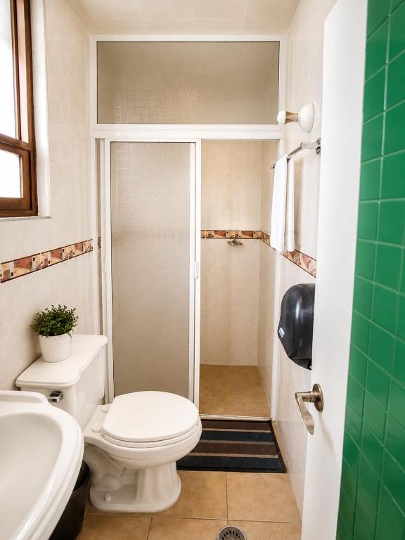a bathroom with a toilet and a shower at Hotel Galería Mediterráneo in Santa Ana Huiloac