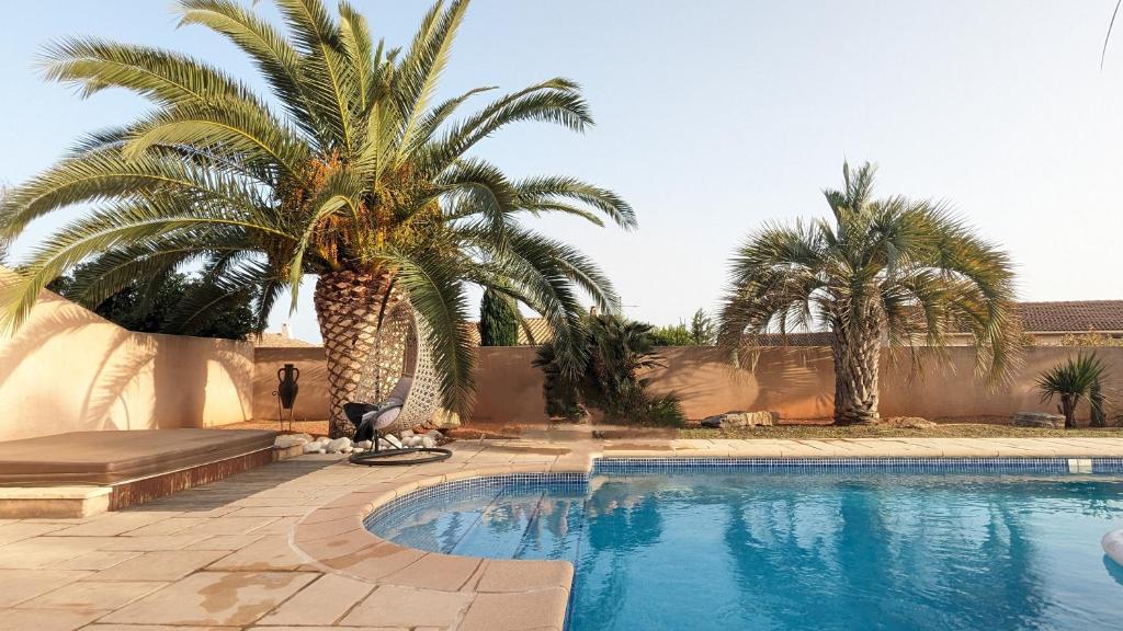 a swimming pool with a palm tree next to a wall at Gîte les palmiers in Roquebrune-sur-Argens