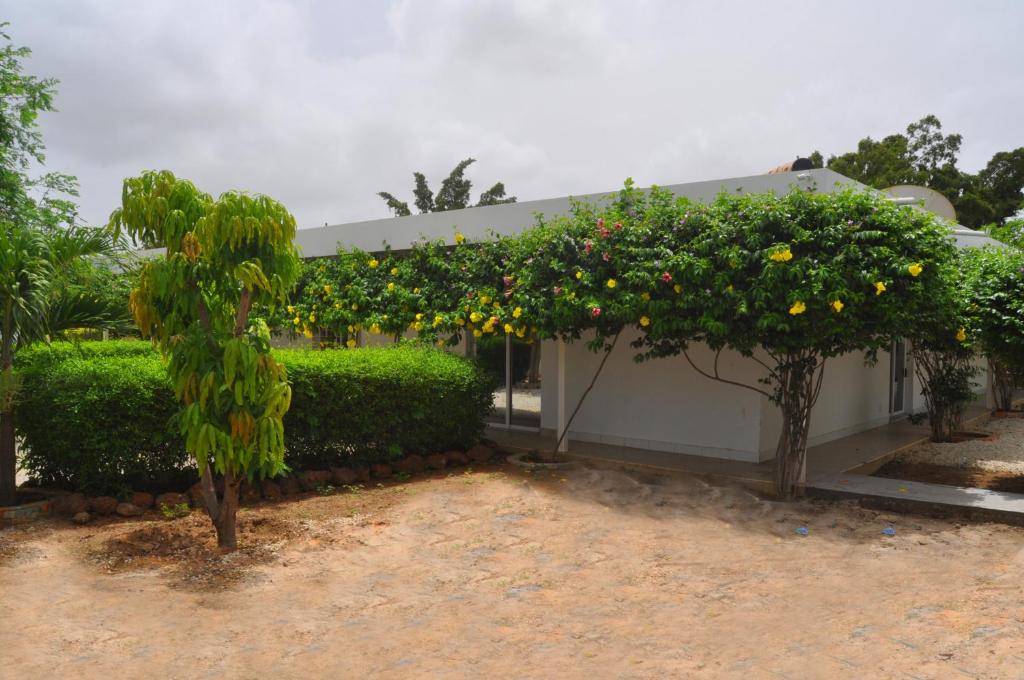 a building with a bunch of orange trees and bushes at Keur Tisserin Joyeux in Saly Portudal