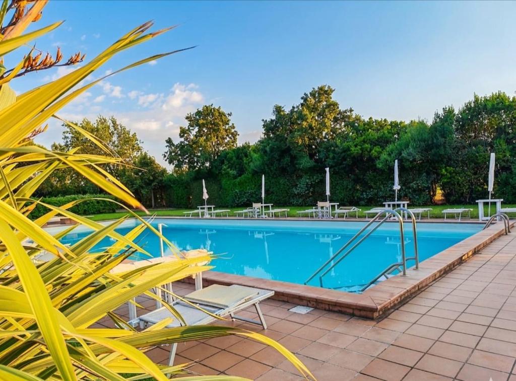 a large blue swimming pool with a bench and chairs at Tiny Park House in Sabaudia
