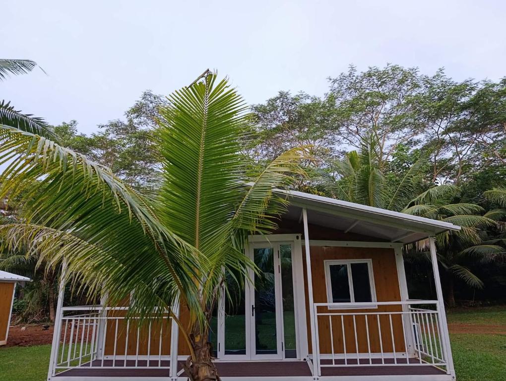 a palm tree in front of a small house at KF Logement Wallis in Hihifo Airport