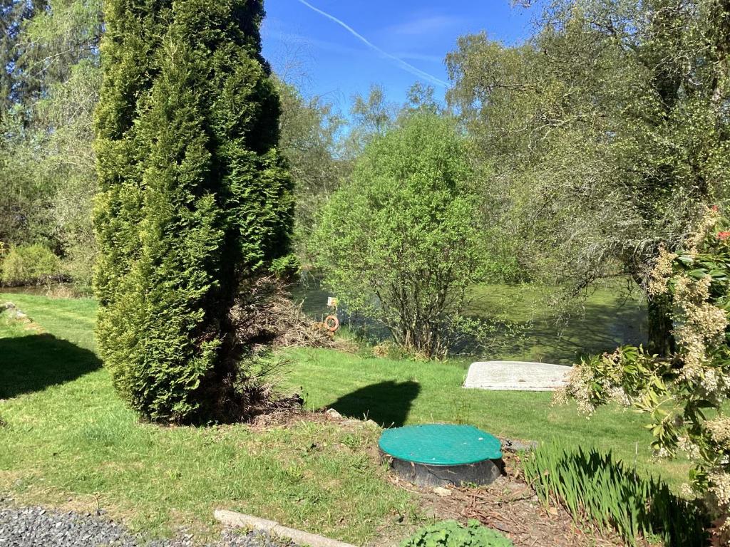 a green bench in the grass next to a tree at Tarn View in Winster