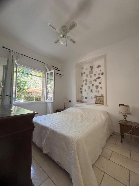 Villa with swimming pool in the land of Negroamaro - salento - puglia