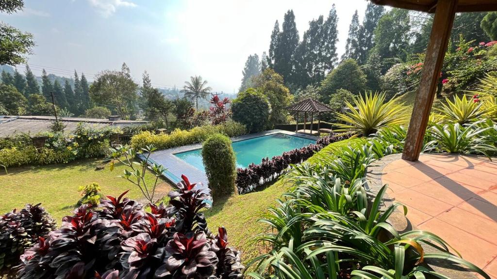 a swimming pool in a garden with plants at Villa Kay Serenity in Sampal 2