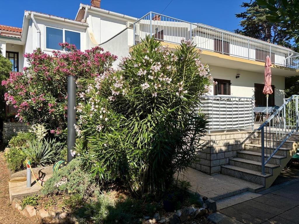 Apartments by the sea Barbat, Rab - 22423
