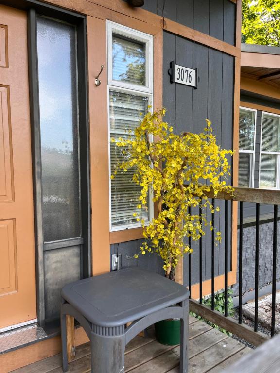 a house with a bench and a plant on the porch at Lantzbnb front view in Lantzville