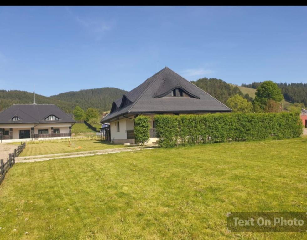 a house with a black roof on a green yard at Pensiunea Mușata Bucovinei in Vama