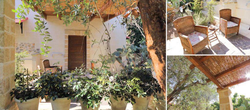 Zahrada ubytování Masseria L'Uliveto Agri Resort