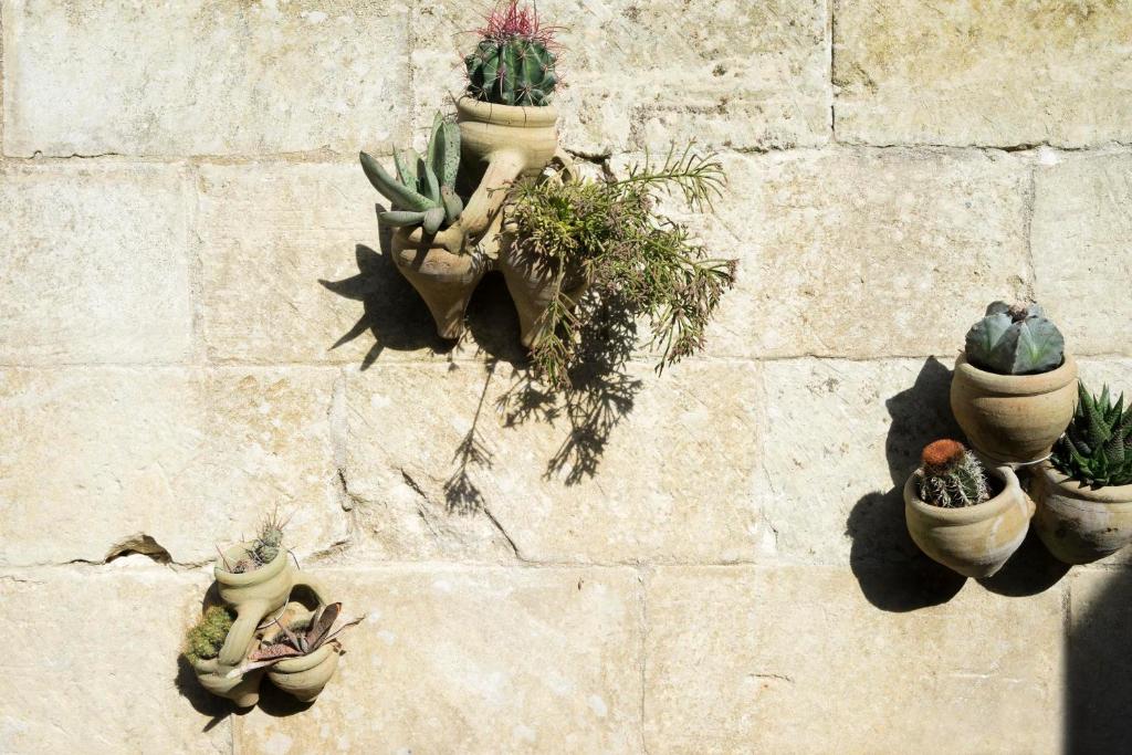 Fotografie z fotogalerie ubytování Masseria L'Uliveto Agri Resort v destinaci Otranto