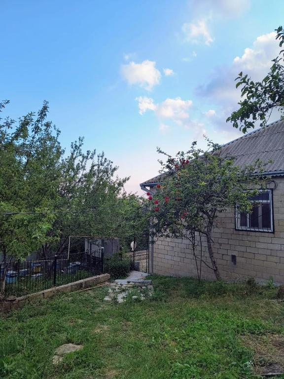 a house with a fence and a tree in the yard at Avaxil Pirqulu in Avaxıl