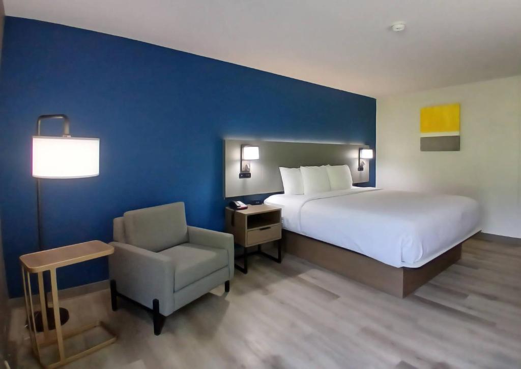 Comfort Inn near Downtown & Blue Ridge PKWY - King Room - Disability Access/Non-Smoking