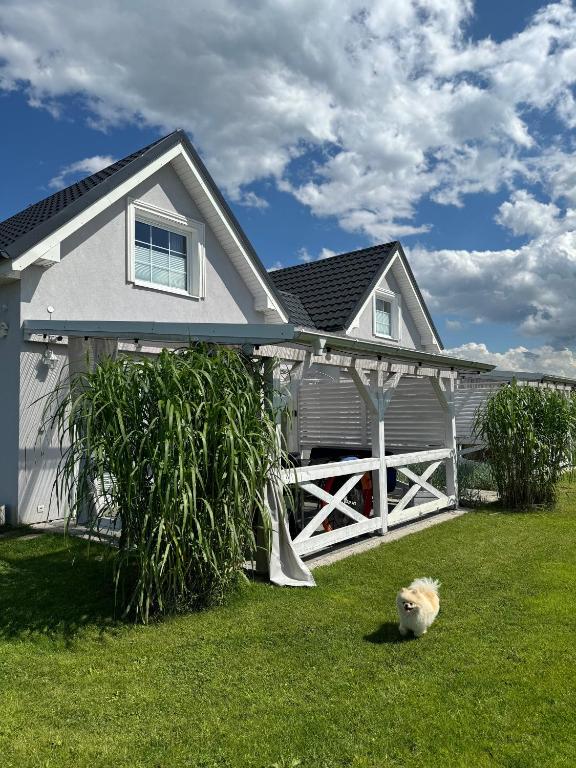 a dog laying in the grass in front of a house at MarinaMar Karwia in Sławoszynko