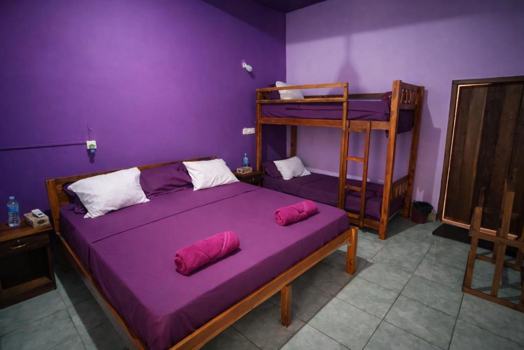 a bedroom with two bunk beds and purple walls at East Breeze in Arugam Bay