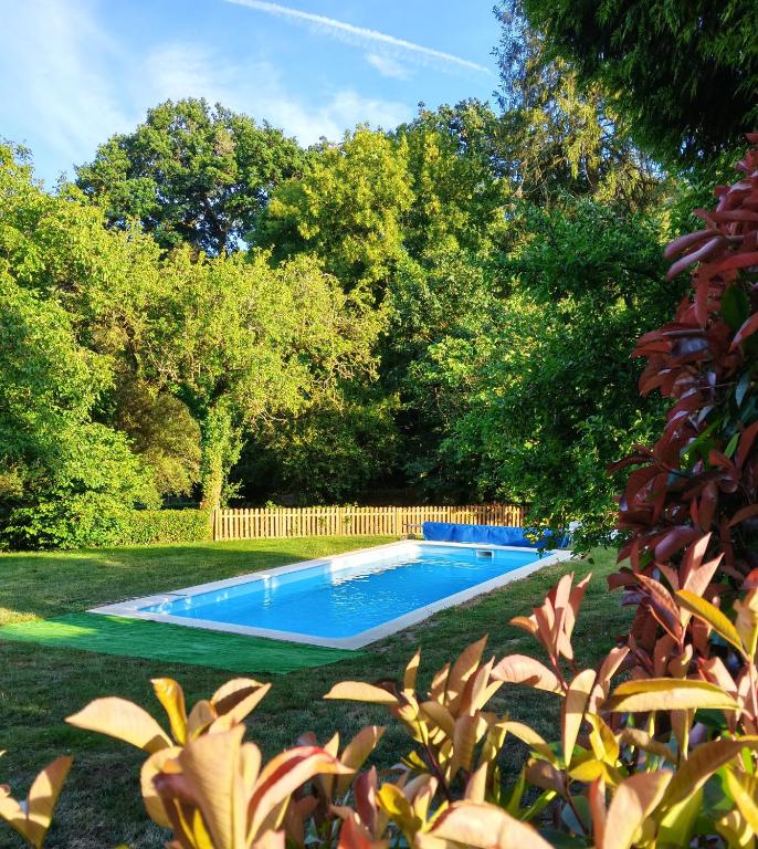 a swimming pool in a yard with trees at Aldea A Paínza in Arzúa