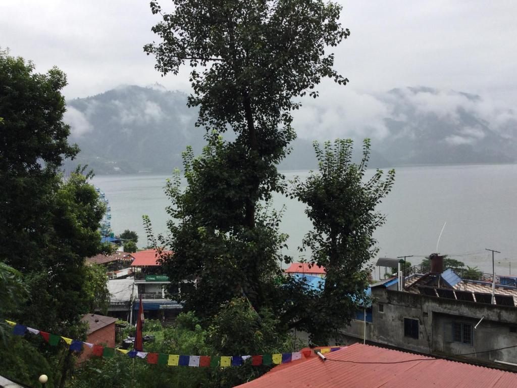 a group of trees with a view of the water at Sweet Dreams Guest house in Pokhara