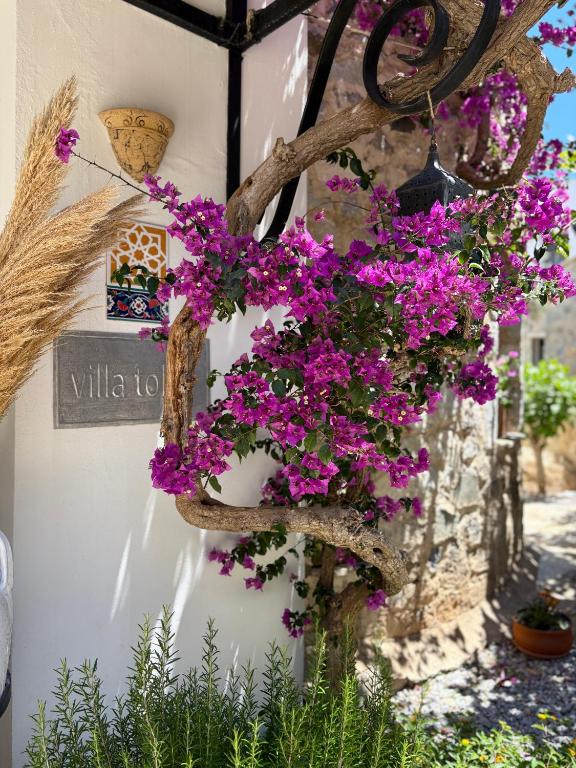 a bunch of purple flowers hanging on a wall at Hotel Villa Tokur in Datca