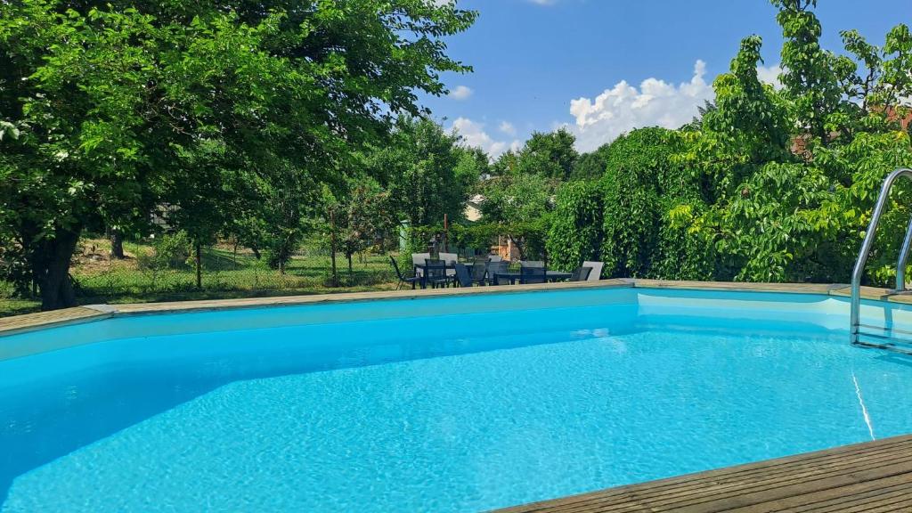 a large swimming pool with blue water and trees at Valen apartmány Valtice in Valtice