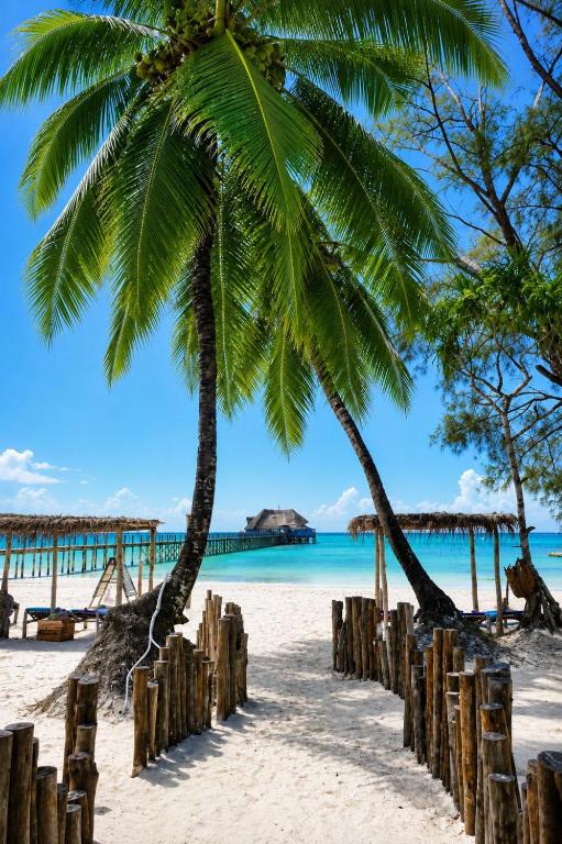 a palm tree on a beach with a pier at Shirley Boutique Hotel in Kiwengwa