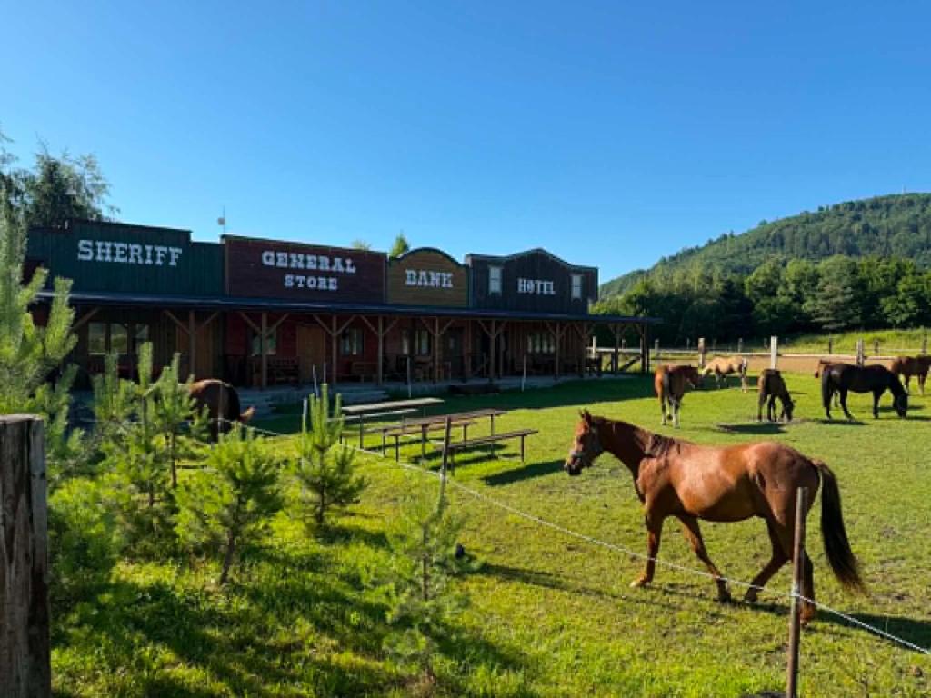a horse walking in a field in front of a building at BUBLA CITY RANCH in Kopřivnice